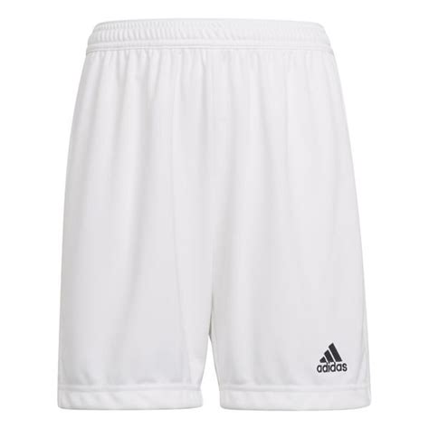 adidas shorts jungen weiß|Amazon.com: White Adidas Shorts Youth.